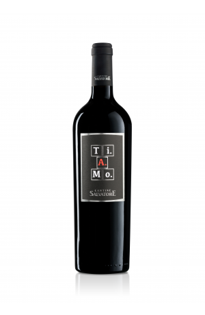 SALVATORE Ti.A.Mo