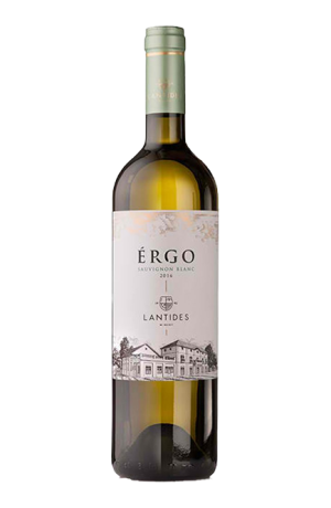 エルゴ ソーヴィニヨン ブラン PGI　 2022