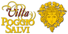 Villa Poggio Salvi logo